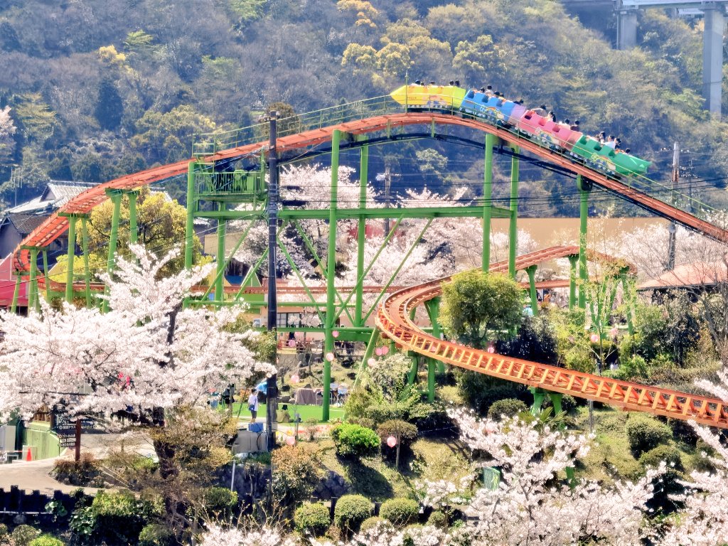 イーサン🐤 tweet media