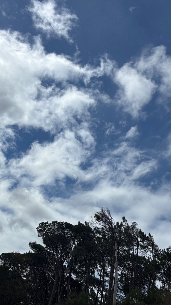 𝙶𝚛𝚎𝚎𝚗 𝙴𝚢𝚎𝚜 & 𝙷𝚊𝚖 tweet media