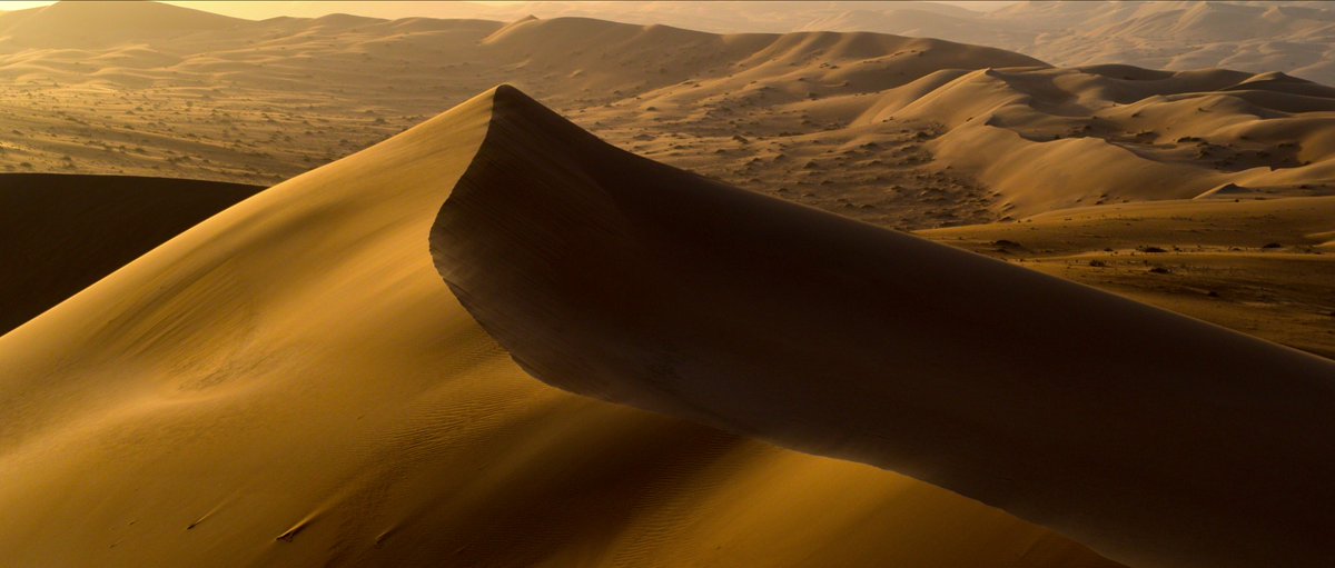 Netflix MENA tweet media