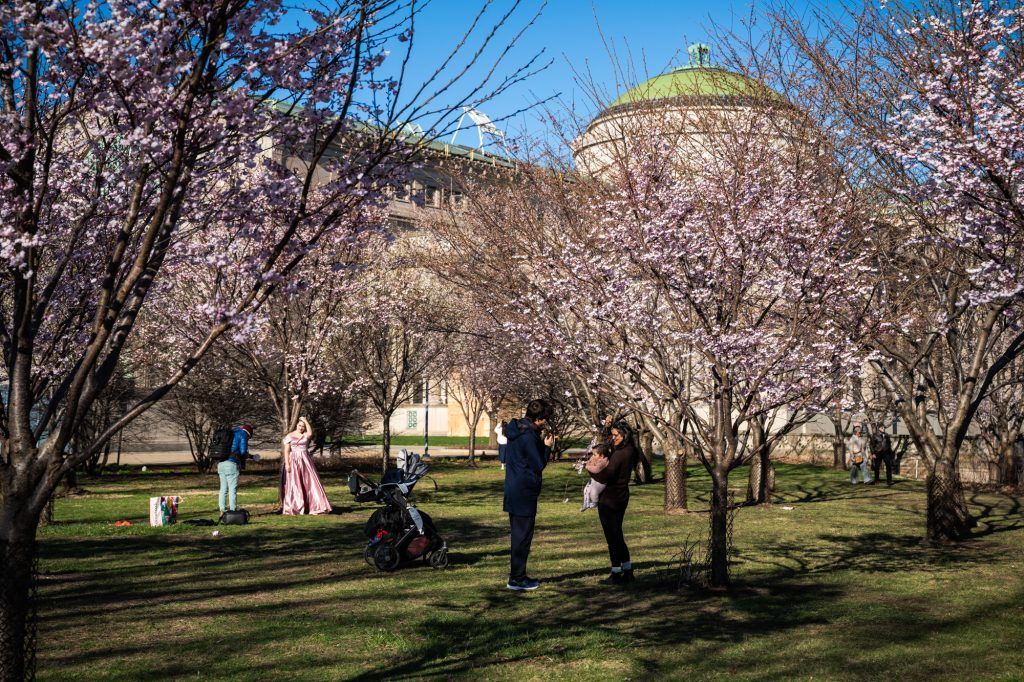 Block Club Chicago tweet media