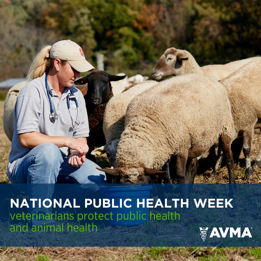 AVMA (American Veterinary Medical Association) tweet media