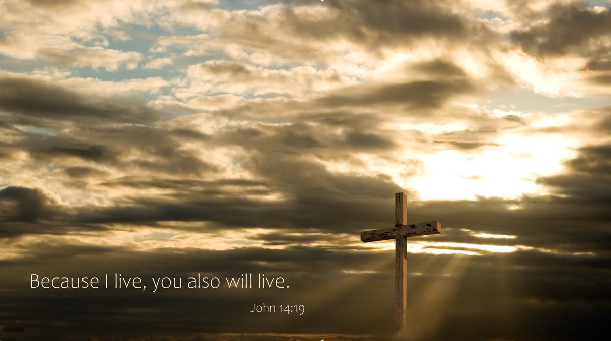 The Verdict with Pastor John Munro tweet media