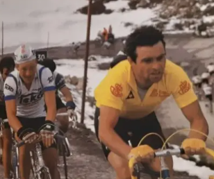 Pedal Vintage tweet media