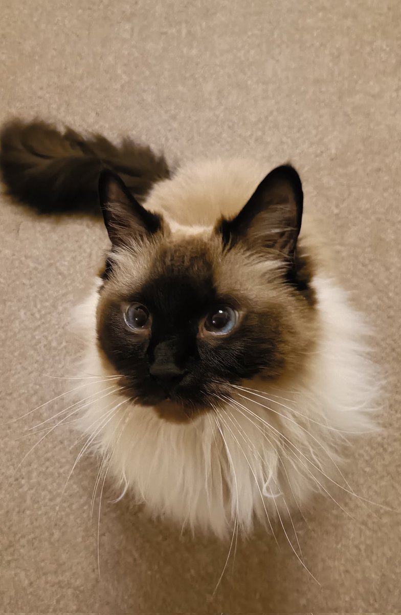 八十助と七之介と三乃丞に会いたいヒト tweet media