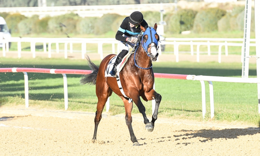 Mirza Yıldız tweet media