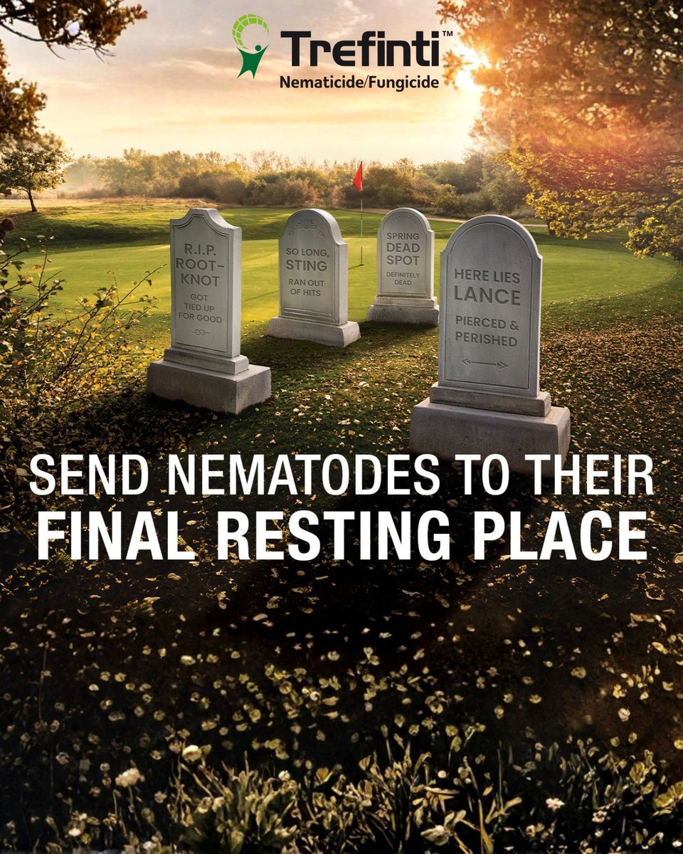HarrellsLLC's tweet photo. Superintendents: Say good riddance to nematodes.

Trefinti® nematicide/fungicide controls lance, sting, root-knot &amp; Anguina — plus protects against spring dead spot, take-all root rot &amp; mini ring.

Connect with your Harrell’s Rep to learn more.
https://t.co/Wz1F6wyLsl https://t.co/UPAgW8sopo