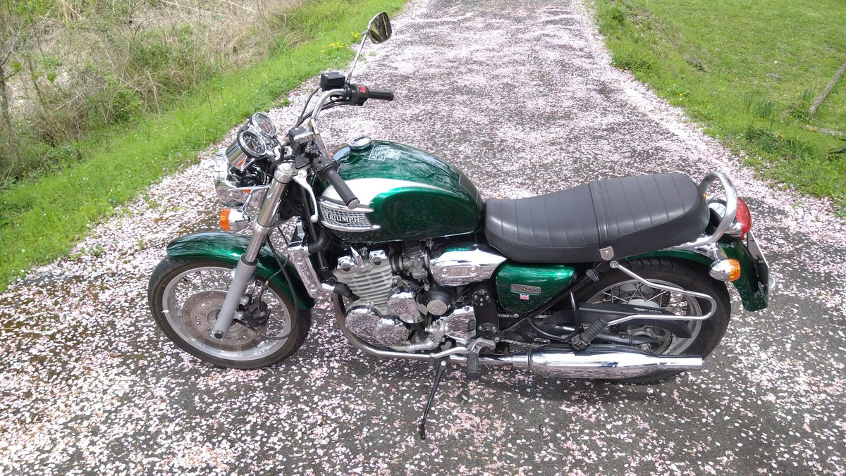 トライアンフ浜松 tweet media