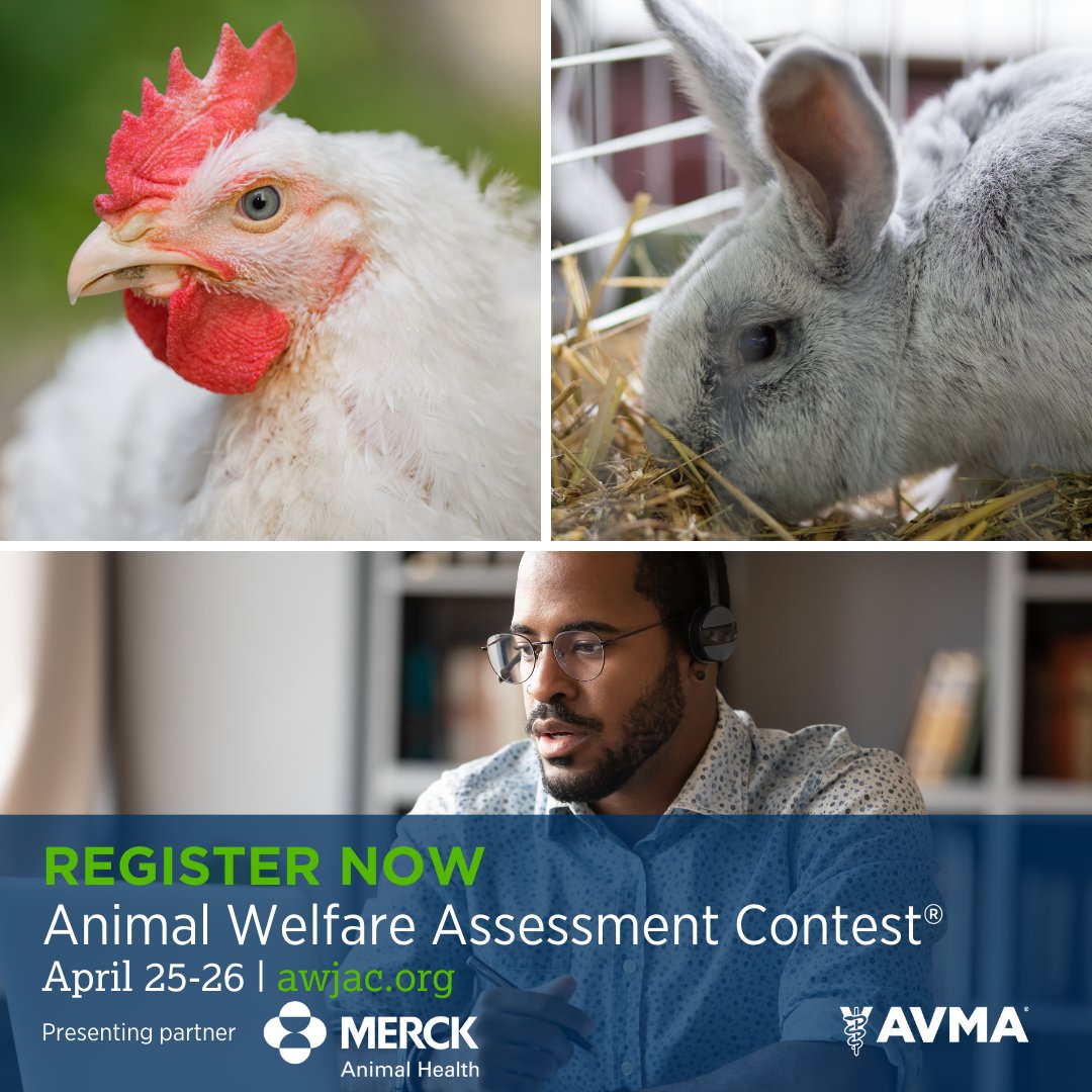 AVMA Meetings & Events tweet media