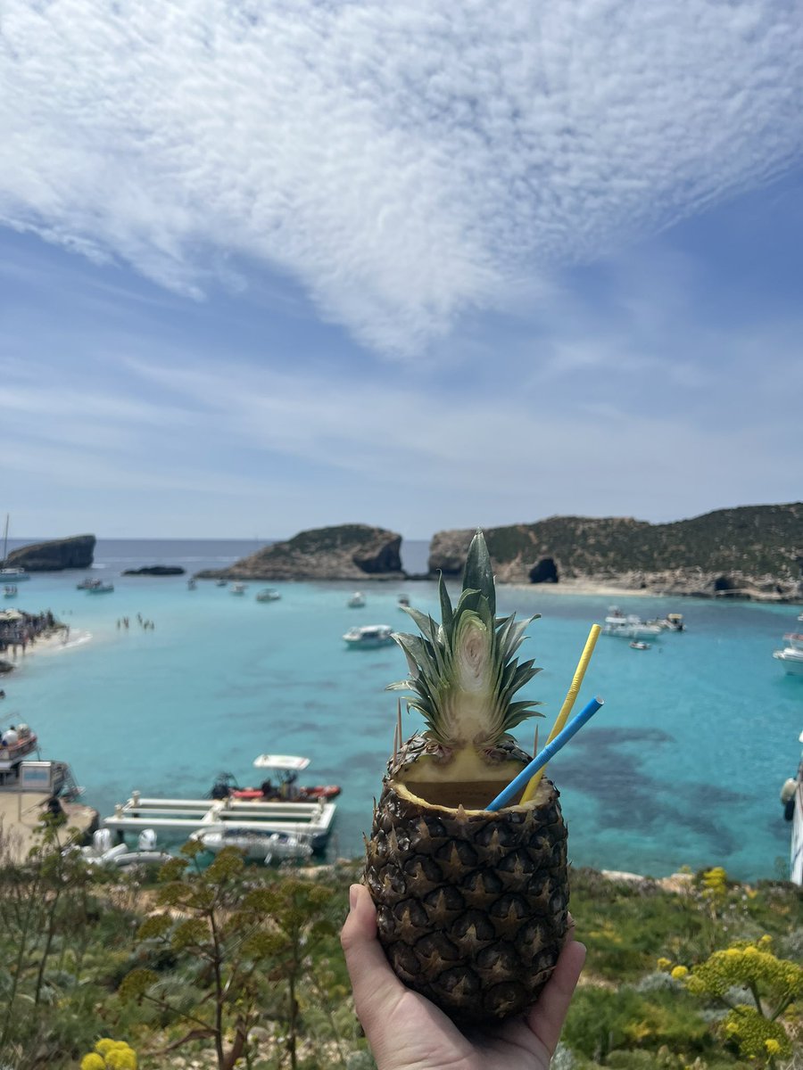 KyleLewisIII's tweet photo. Drinking a Sex on the beach out of gods great gift of the pineapple. About to enter my tiger mode. #DUI https://t.co/5rW6J5XyaE