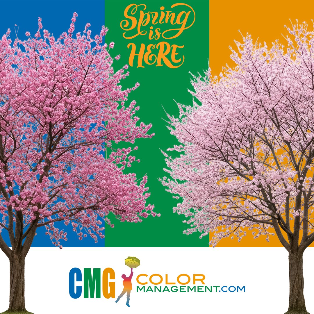 CMGColor's tweet photo. Spring is here! 🌼 It's time to tidy up your color managed workflow. Don’t let ICC profiles pile up—clean them out to avoid costly errors. Need help? Contact us for a color management consultant! 👉 https://t.co/Wclk9NEyCN 

#SpringCleaning #ColorManagement #Printing #Profiling https://t.co/QdaOhrJ0Bu