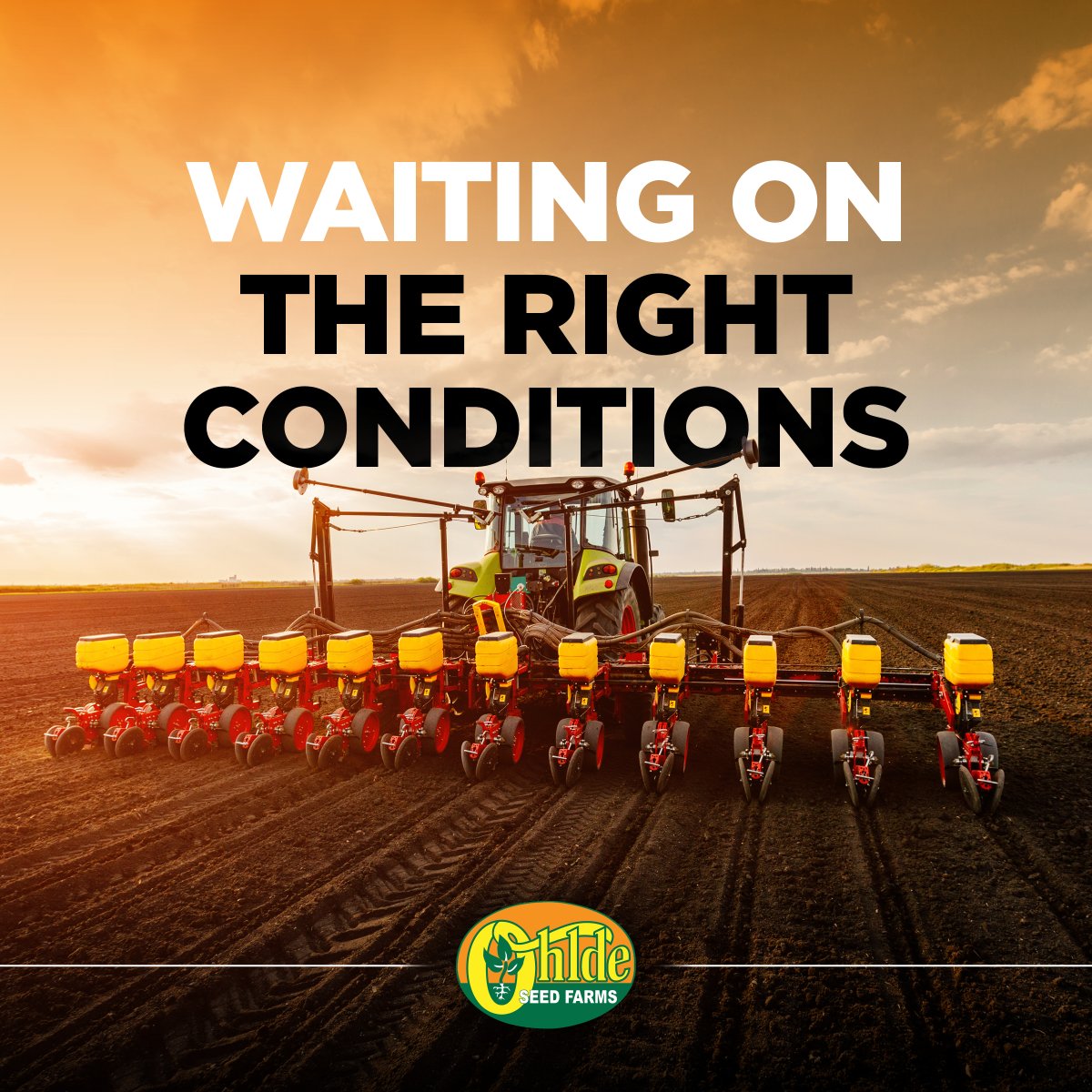 Ohlde Seed tweet media