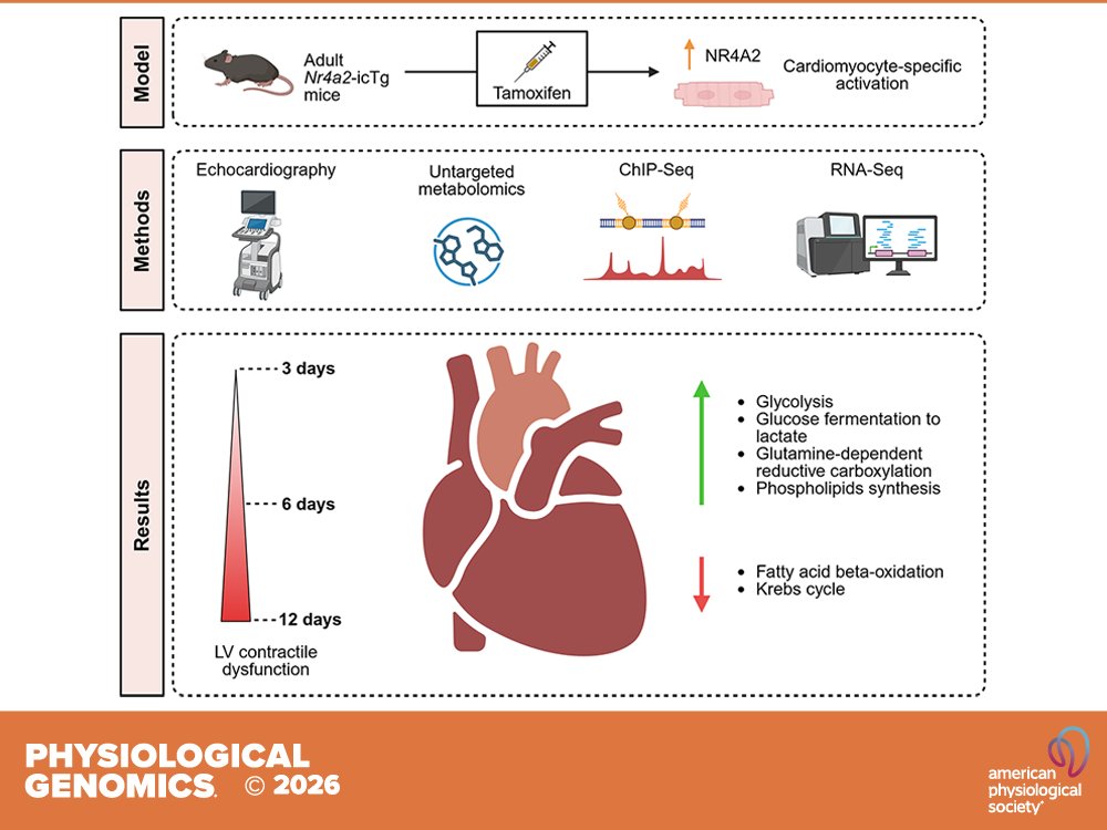 Physiological Genomics (@PhysiologicalG) / Posts / X