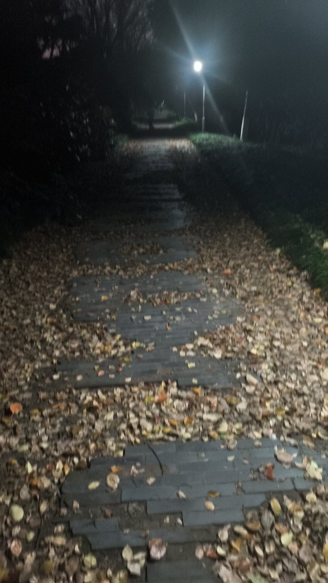 小黄建设大海 tweet media