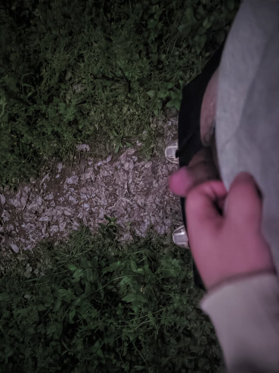 小黄建设大海 tweet media