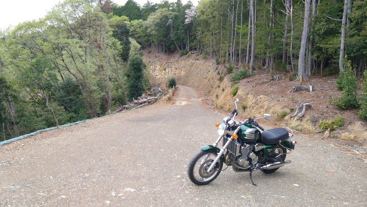 トライアンフ浜松 tweet media