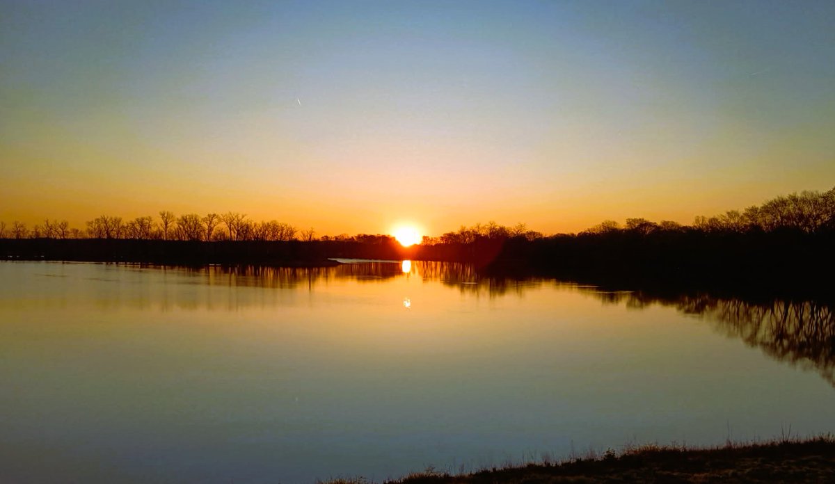 Mark Bennett tweet media