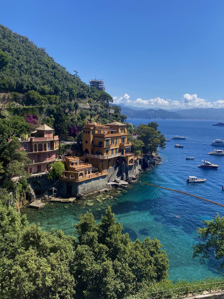 vistaaura tweet media