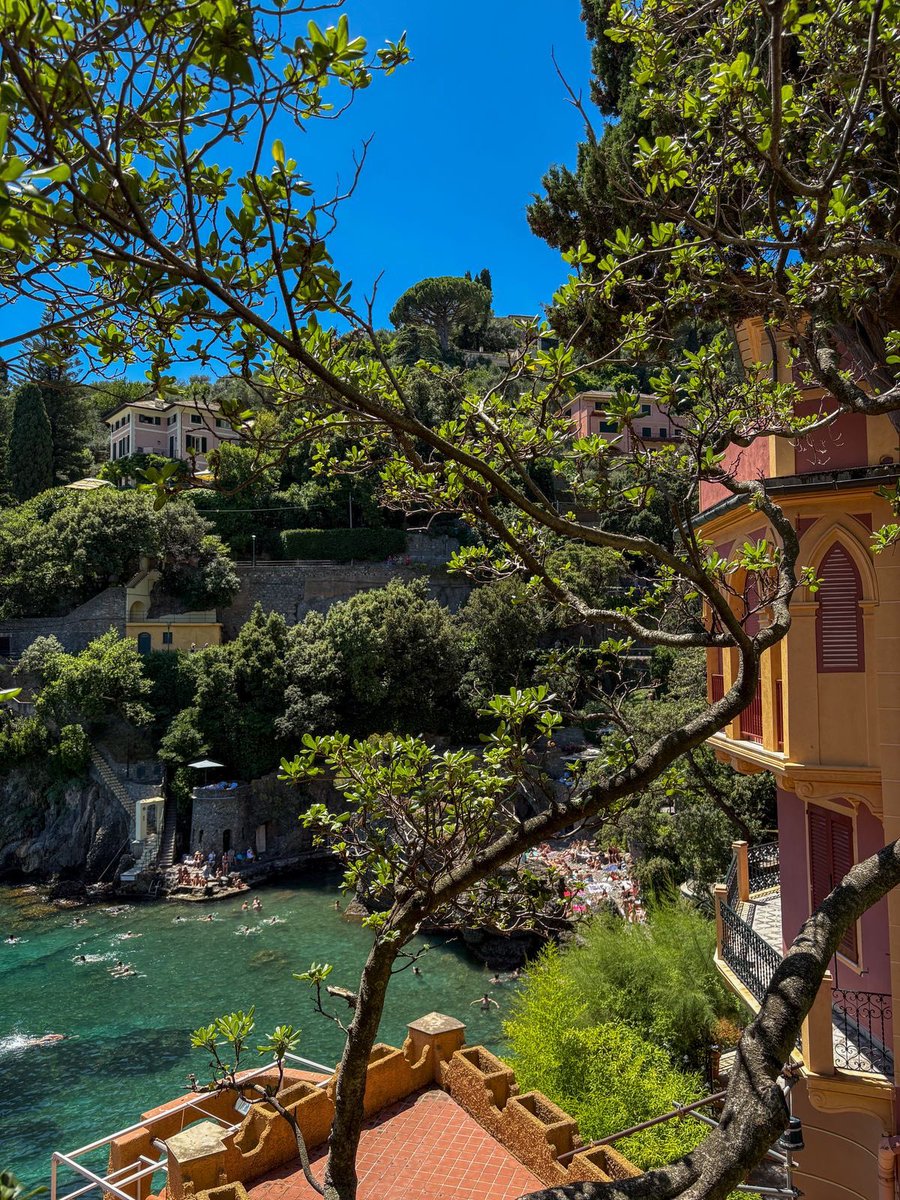 vistaaura tweet media