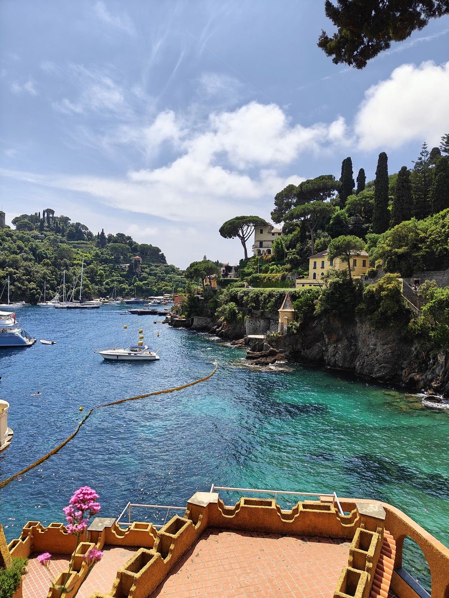 vistaaura tweet media