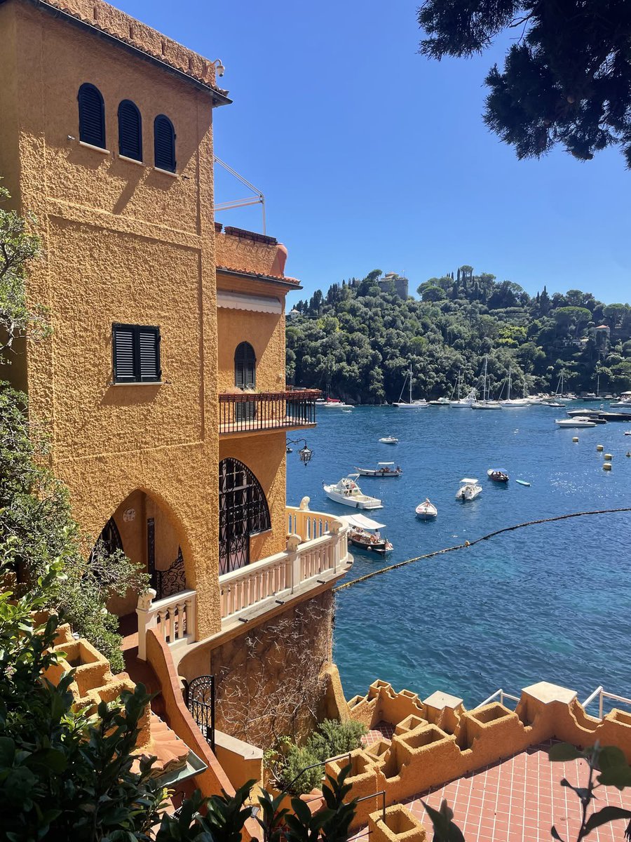 vistaaura tweet media