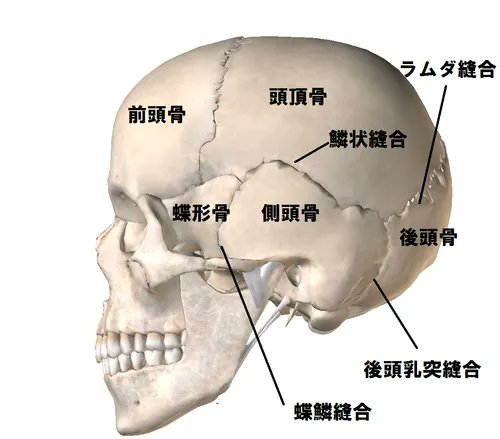仁木洸平🌲｜NIKI Kohei｜@MTR Method Lab®︎ tweet media
