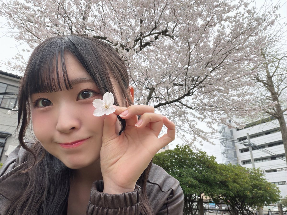 新沢葵唯 tweet media