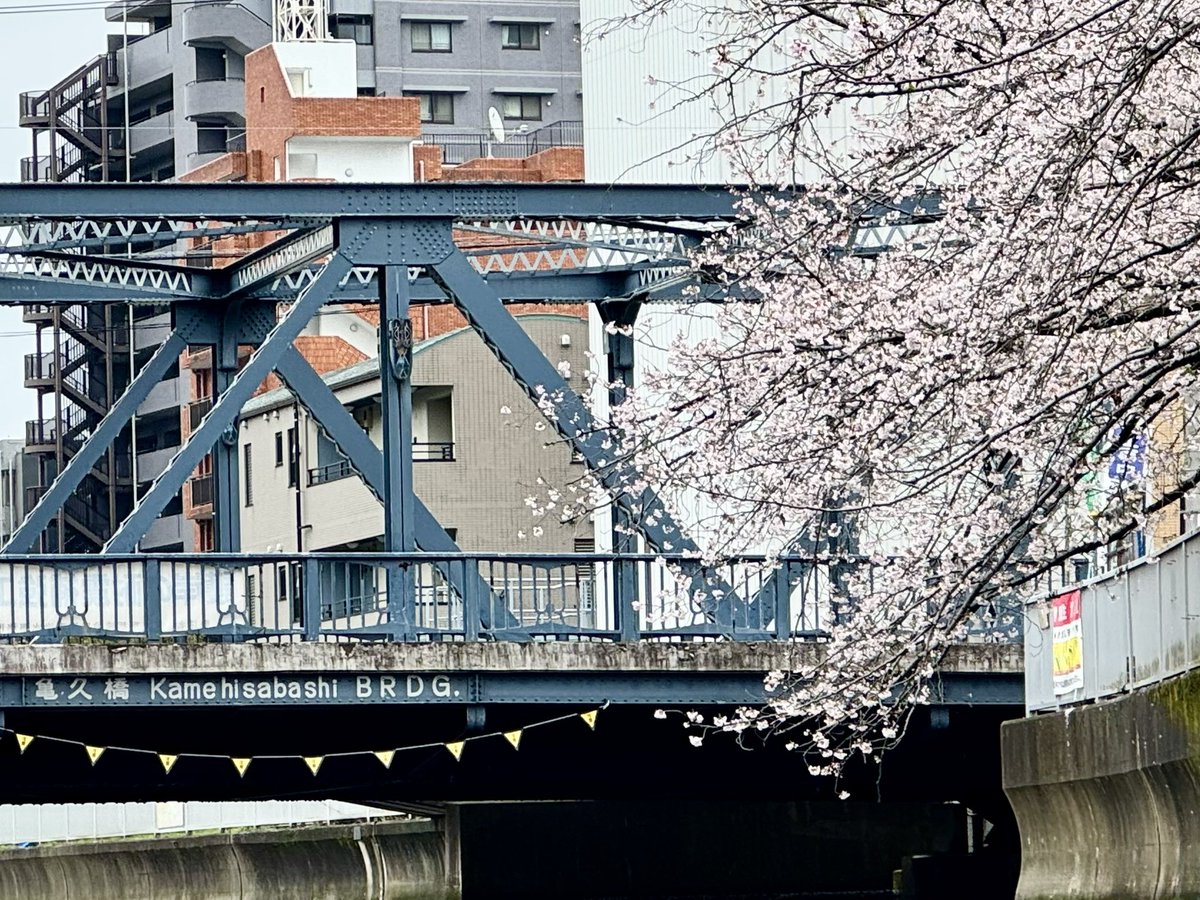 riverboatmizuha's tweet image. 毎週月曜日は #1日1枚橋の写真を貼る #bridgephototoday
亀久橋@仙台堀川
Kamehisabashi, Sendaibori River