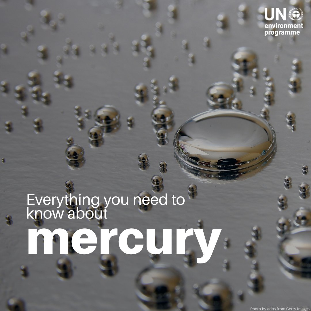 UN Environment Programme tweet media