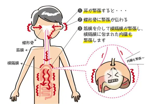 仁木洸平🌲｜NIKI Kohei｜@MTR Method Lab®︎ tweet media
