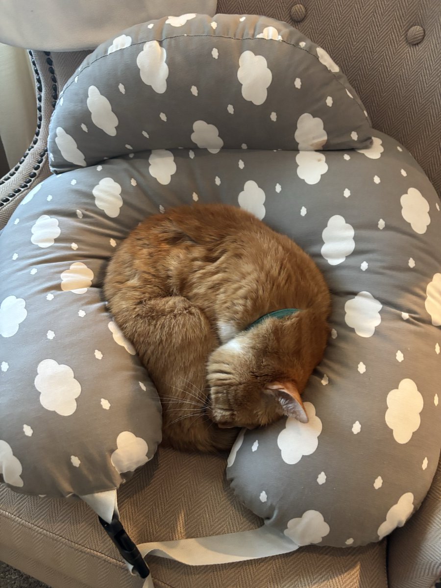 Dr. EmaOn Risenthorn 🇺🇸🏈 tweet media