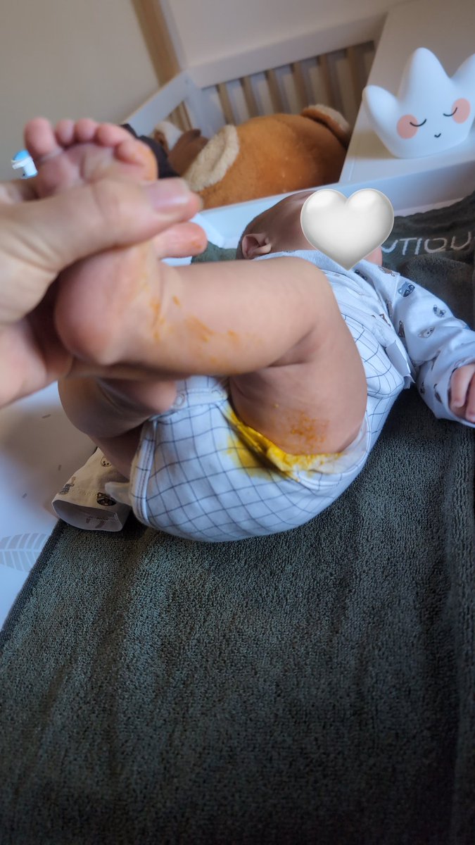 🧸 Ironelia tweet media