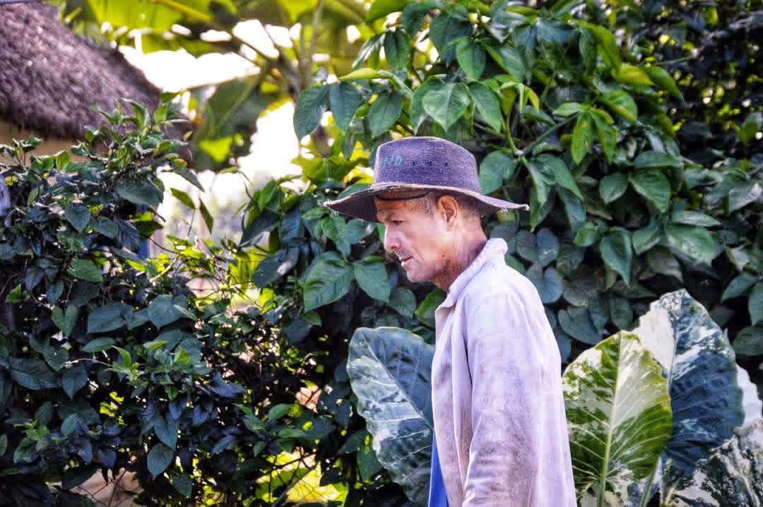 Yamilé Ramos Cordero tweet media