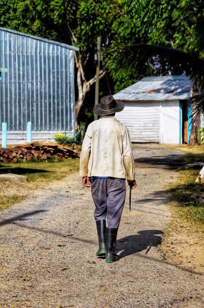 Yamilé Ramos Cordero tweet media