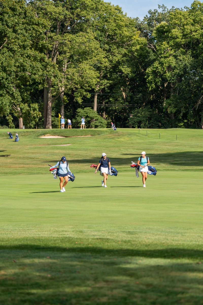 Dayton Women's Golf tweet media