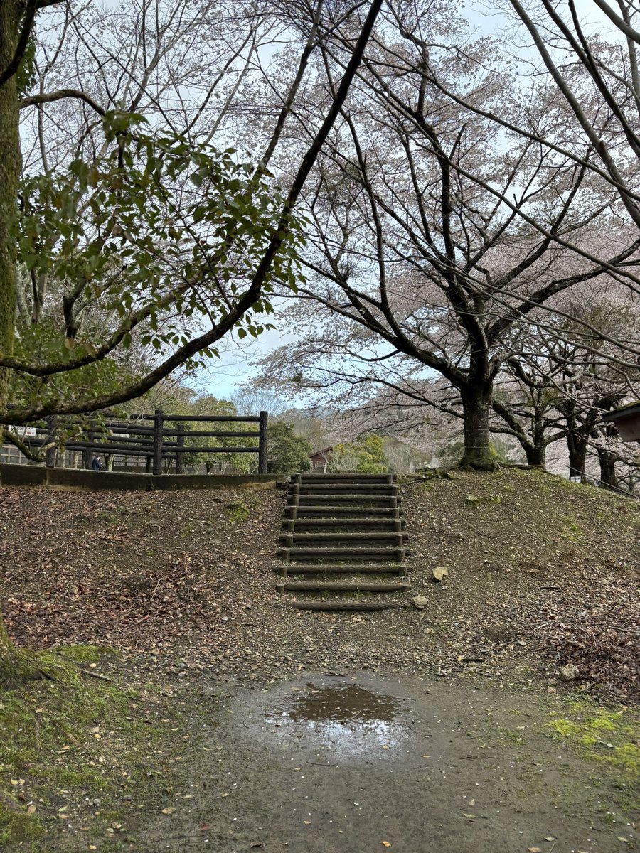 ドゥクシ tweet media