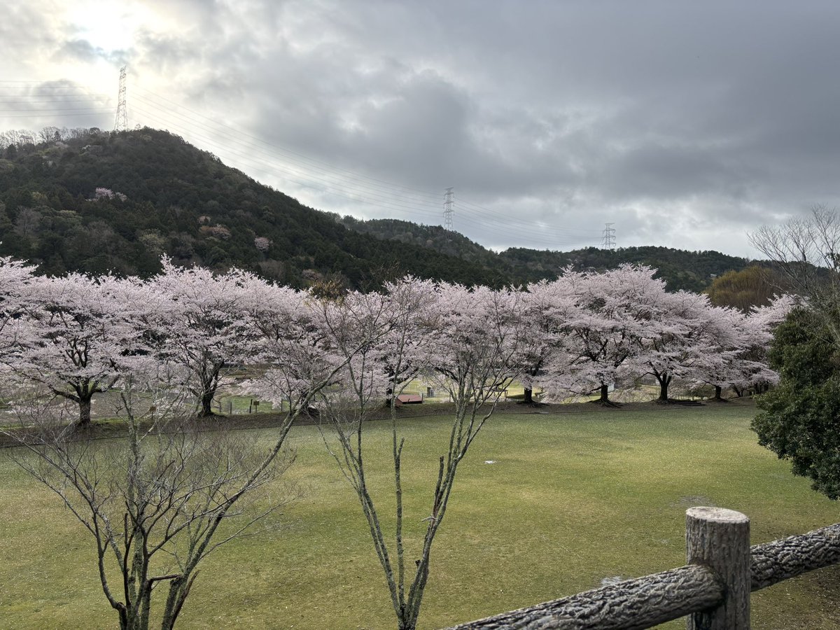 ドゥクシ tweet media