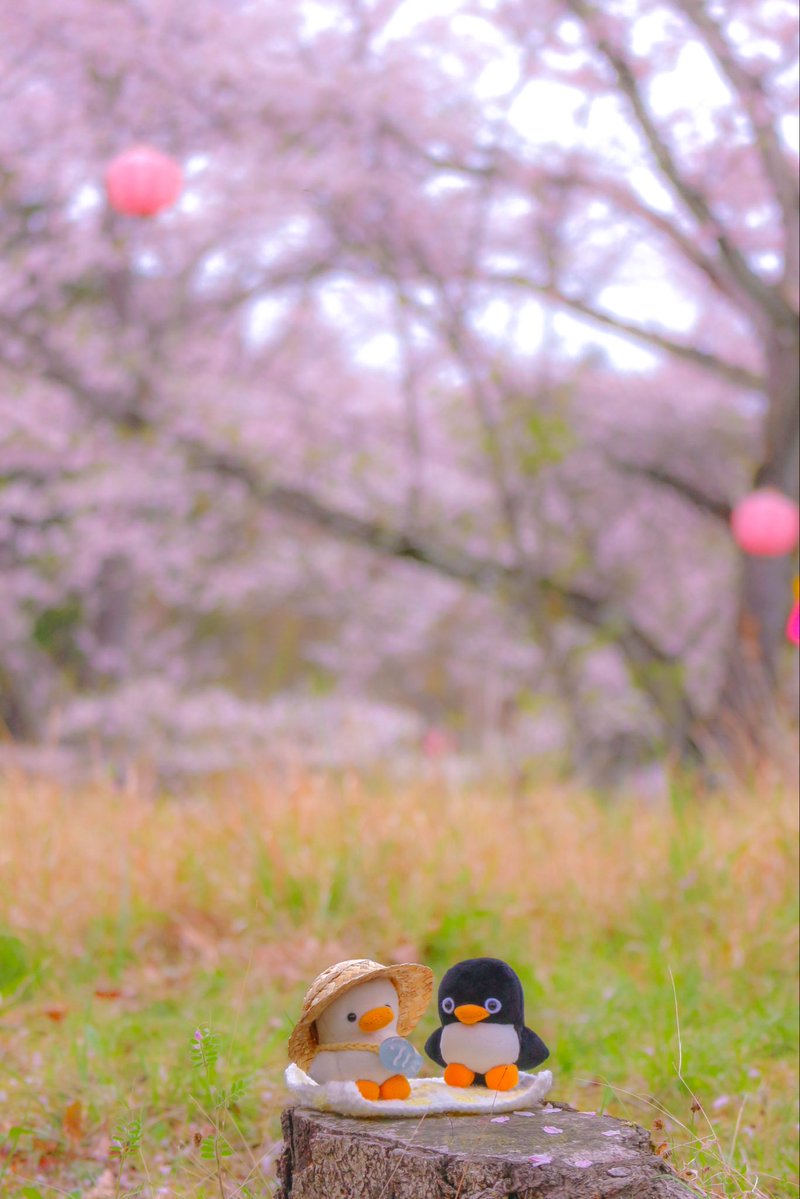 あひるくん。 tweet media