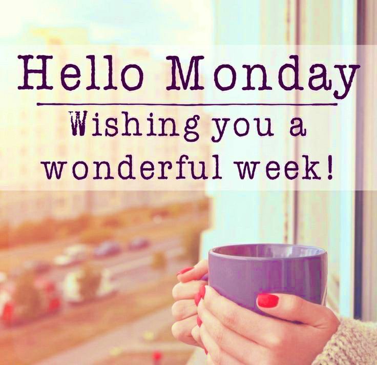 🌷Jenn🌷🏒⚾️🏀 tweet media