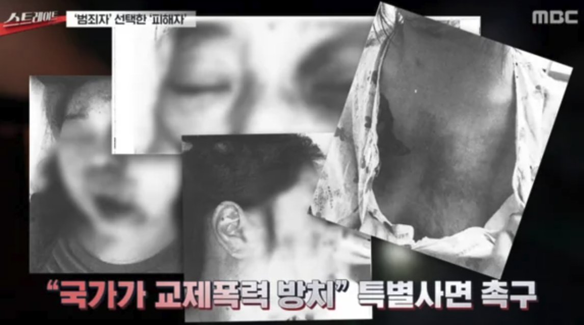 코코넛38 tweet media