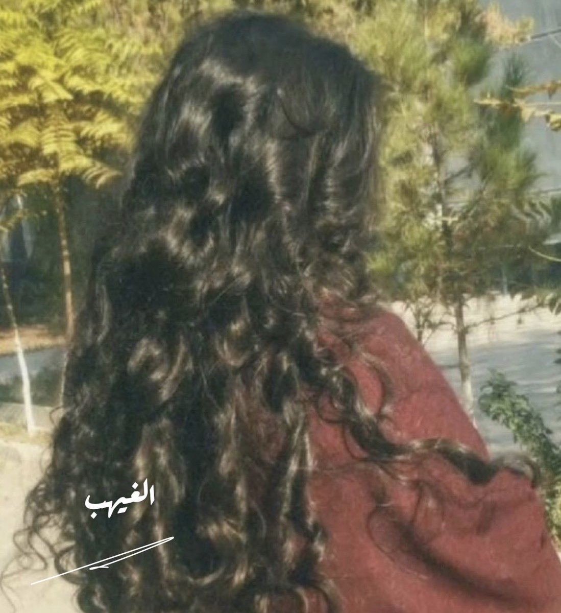 الغَيْهب tweet media