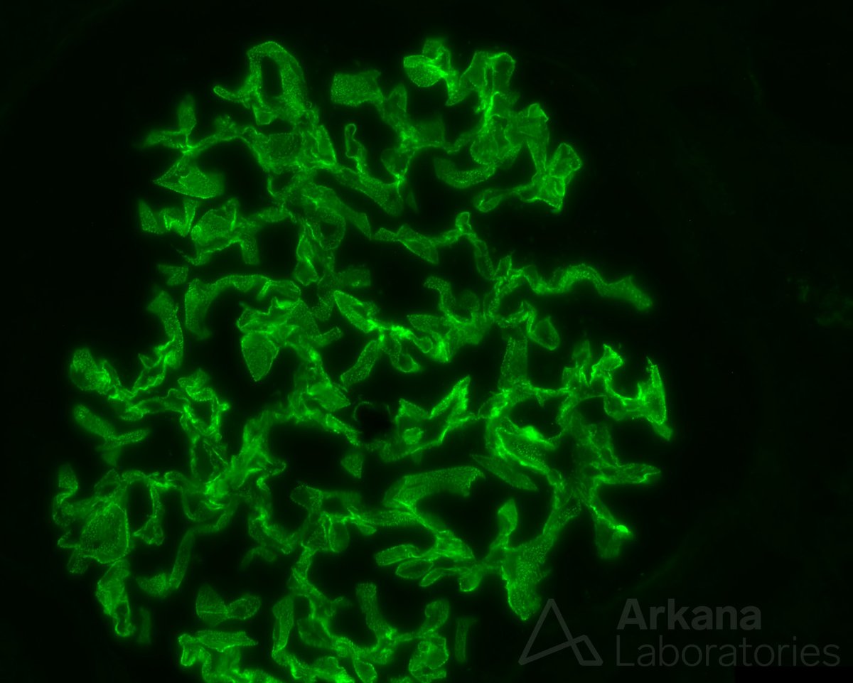 Arkana Laboratories tweet media