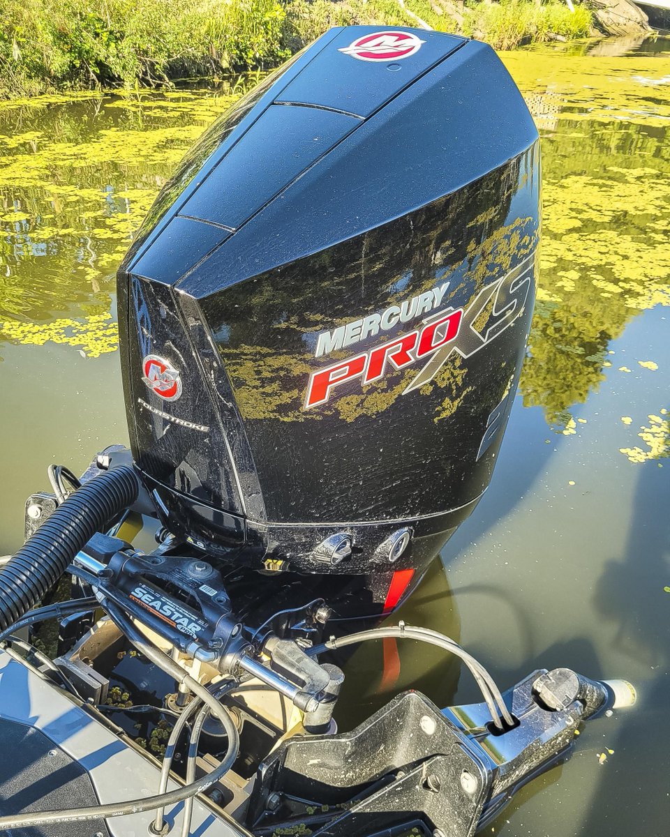 SkeetReese1's tweet image. Another day on the water #MercuryPartner @MercuryMarine #MercuryMarine #MercuryProTeam #Mercury #GoBoldly #fishing #bassfishing #skeetreese #bassfishin #bass #skeetreesefishing #largemouth #largemouthbass #fish #tightlines