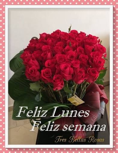 Donovan Alvarado tweet media