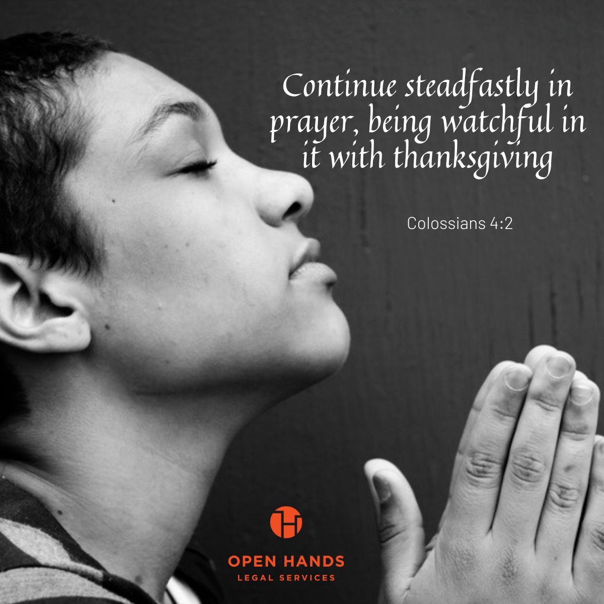 Open Hands Legal Svc tweet media