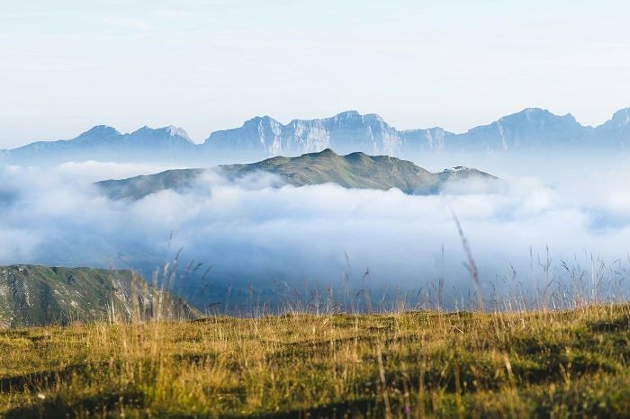 Bob Lai | Tawcan 🇹🇼🇨🇦 tweet media