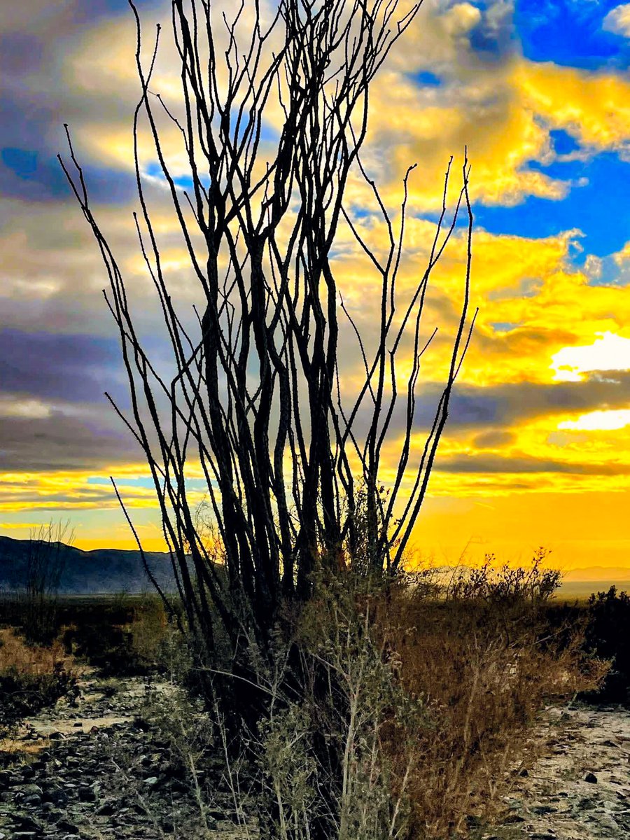 CosmicCowboy's tweet image. Good morning friends!  My first attempt at a Community Follow 2 Fer this morning had an account that got suspended overnight. A new one is up! Sorry for the inconvenience 🫤 Have a great day.
#GoodMorningEveryone
#CommunityFirst