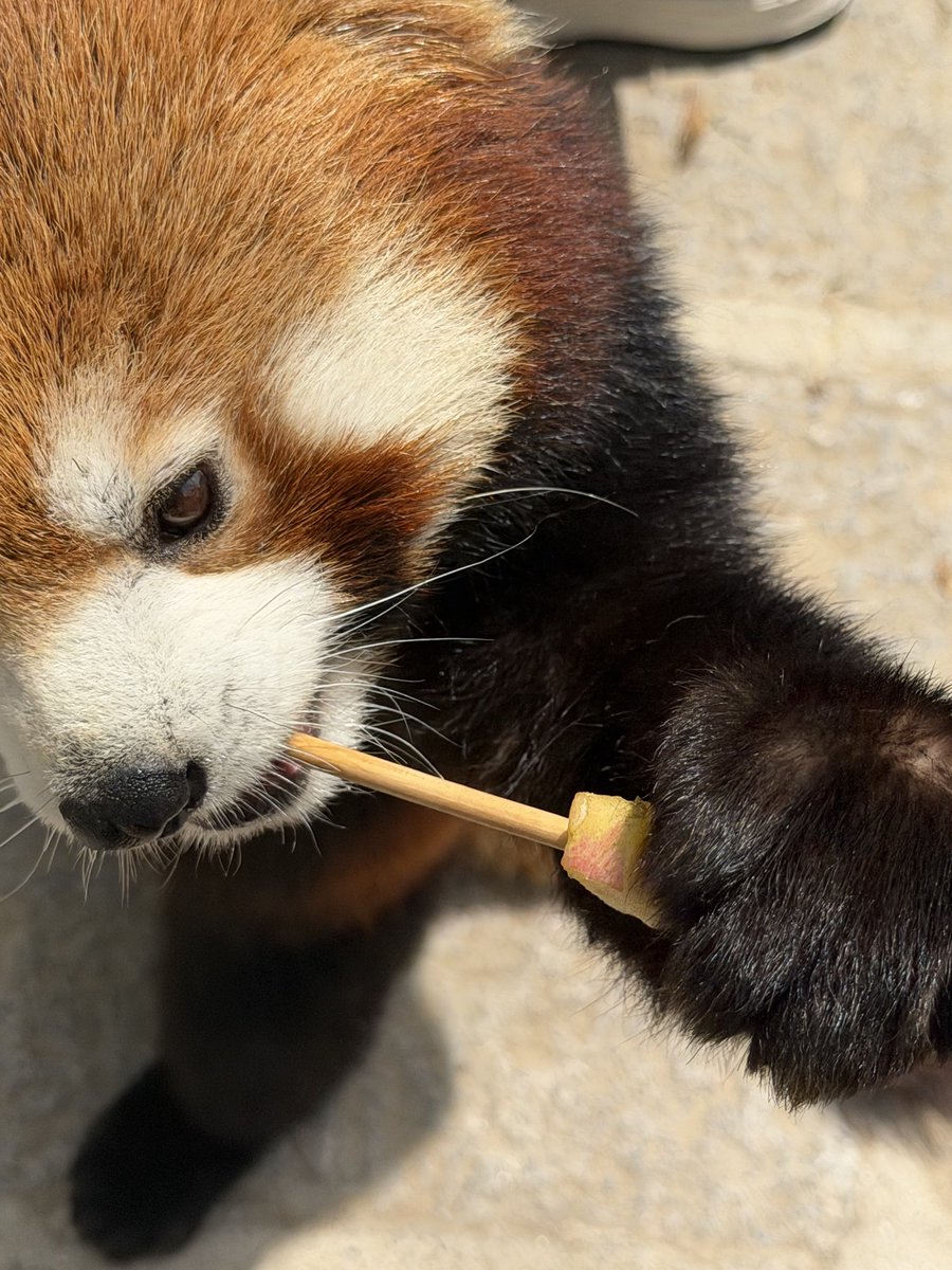 addurname tweet media