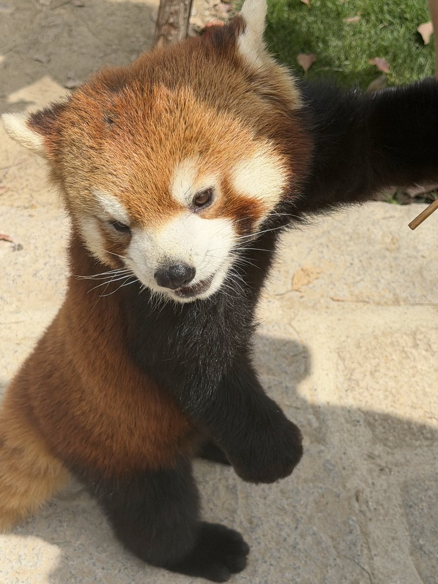 addurname tweet media