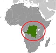 Web Synthesis tweet media