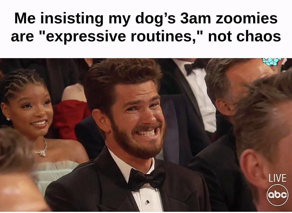 PuppyJoStore's tweet photo. My dog’s 3am “expressive routine” — clearly a deliberate late-night performance. Standing ovation from the hallway. https://t.co/tDUuvu4VxT